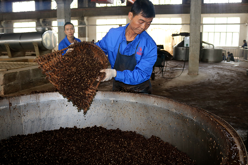 澳门资料大全正版资料查询202